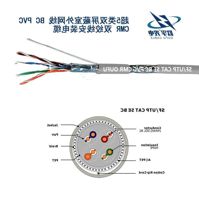 绍兴市SF/UTP超五类4对双屏蔽电缆(24AWG)